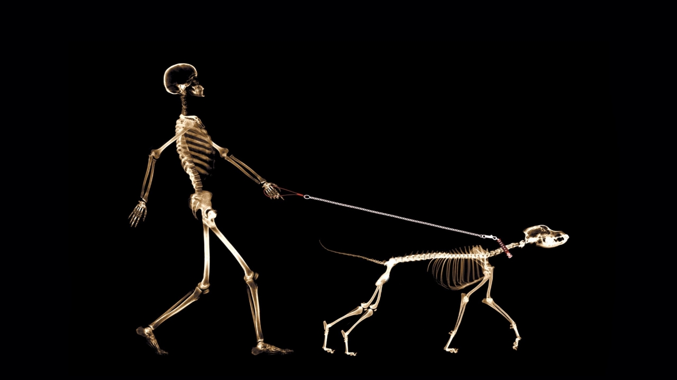 Skeletons Walking for 1366 x 768 HDTV resolution