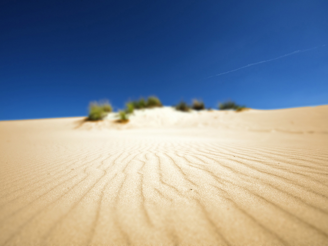 Something in Sand for 1152 x 864 resolution