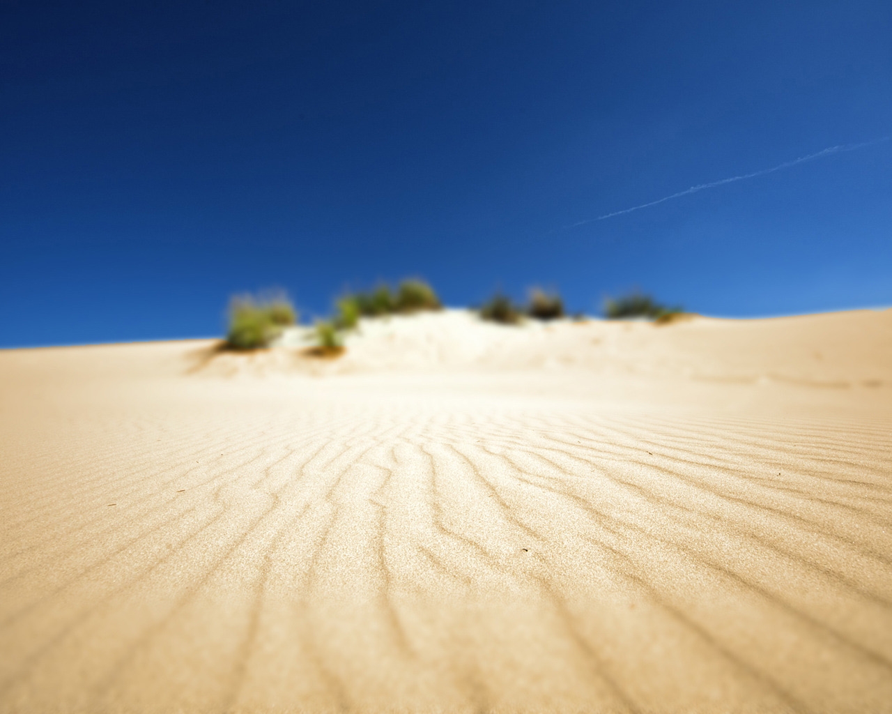 Something in Sand for 1280 x 1024 resolution
