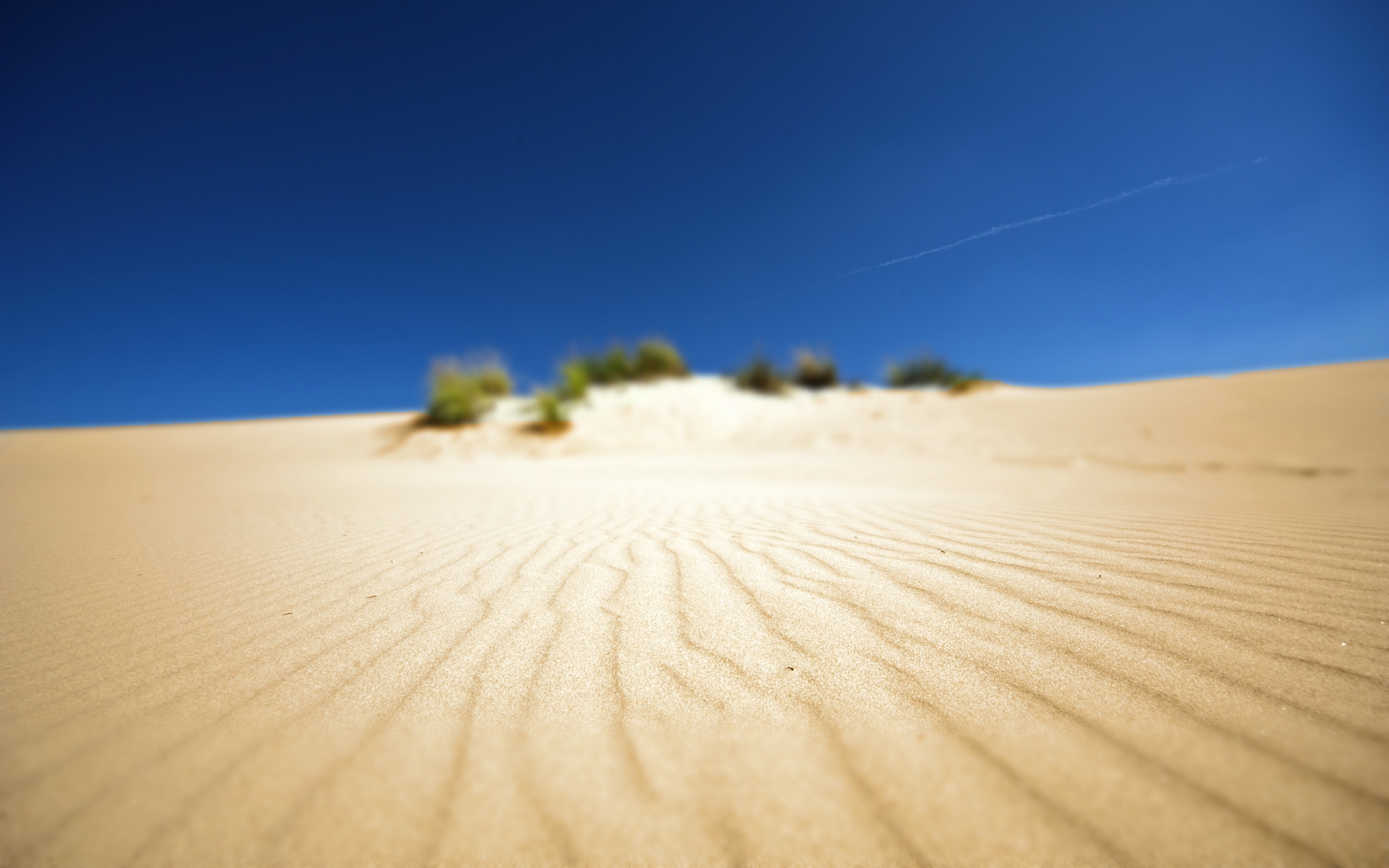 Something in Sand for 1920 x 1200 widescreen resolution