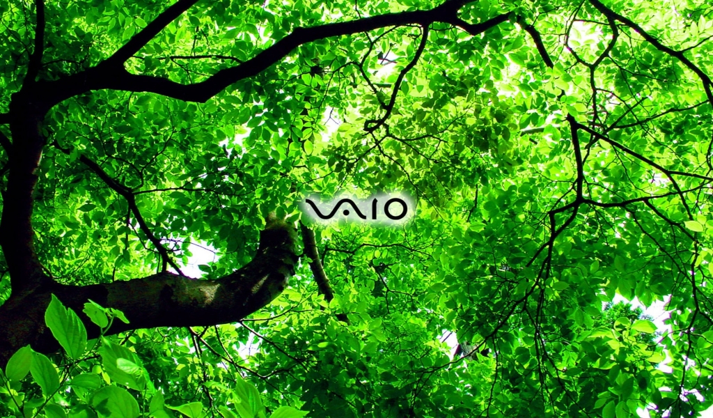 Sony Vaio green for 1024 x 600 widescreen resolution