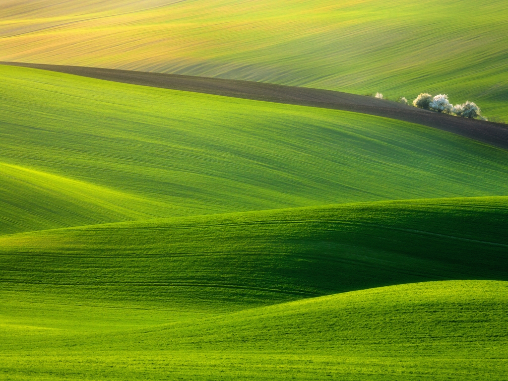 Spectacular Green Field for 1024 x 768 resolution
