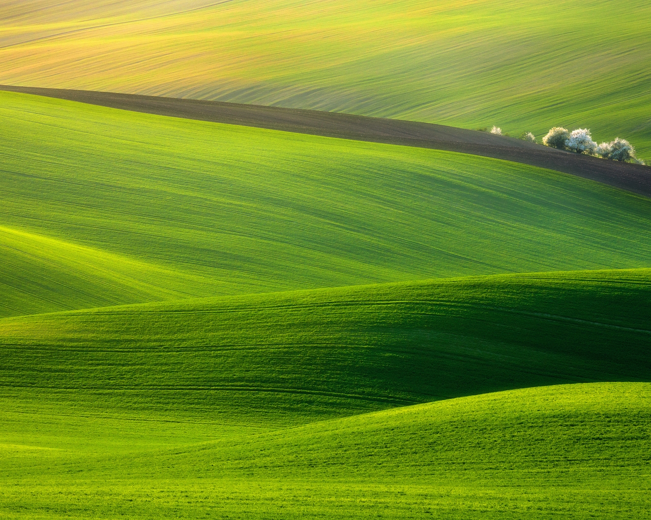 Spectacular Green Field for 1280 x 1024 resolution