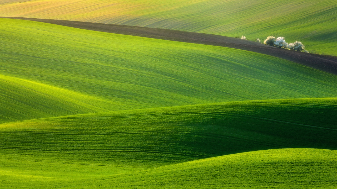 Spectacular Green Field for 1280 x 720 HDTV 720p resolution