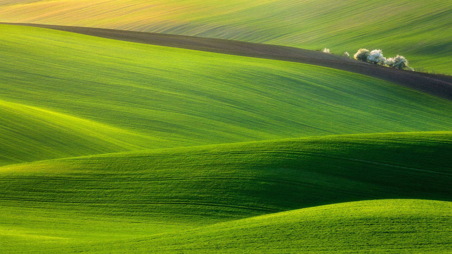 Spectacular Green Field for 1536 x 864 HDTV resolution