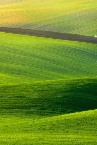 Spectacular Green Field for 320 x 480 iPhone resolution