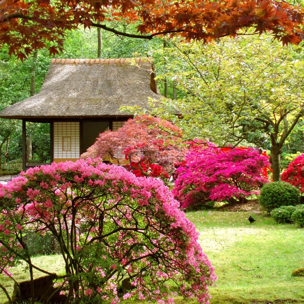 Spring Japanese Garden for 1024 x 1024 iPad resolution