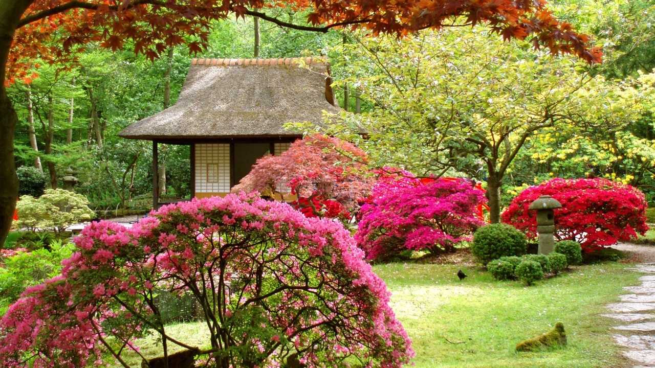 Spring Japanese Garden for 1280 x 720 HDTV 720p resolution