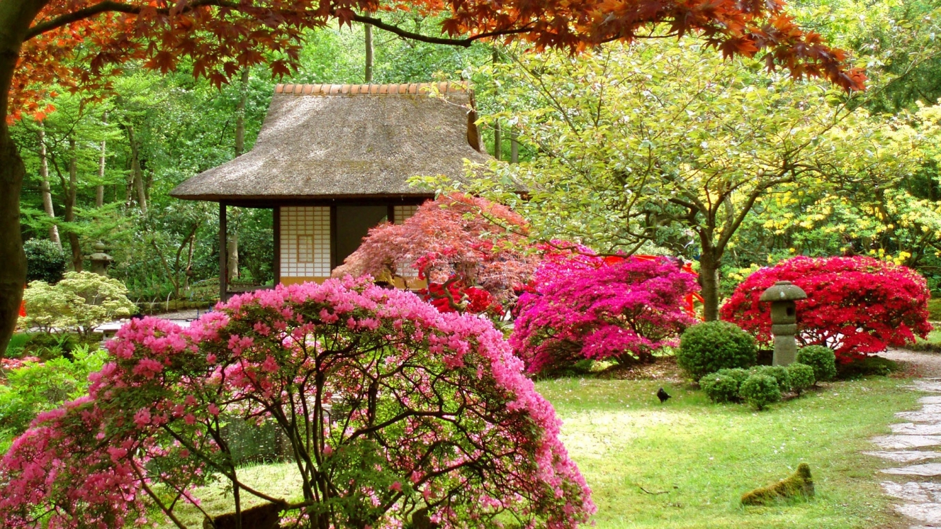 Spring Japanese Garden for 1366 x 768 HDTV resolution