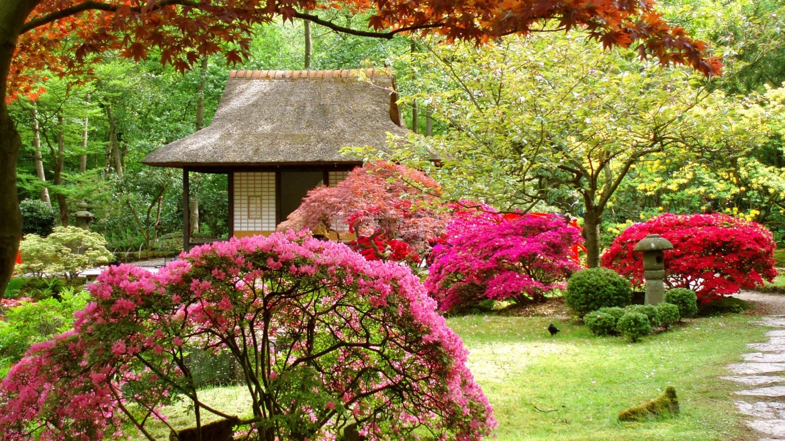 Spring Japanese Garden for 1536 x 864 HDTV resolution