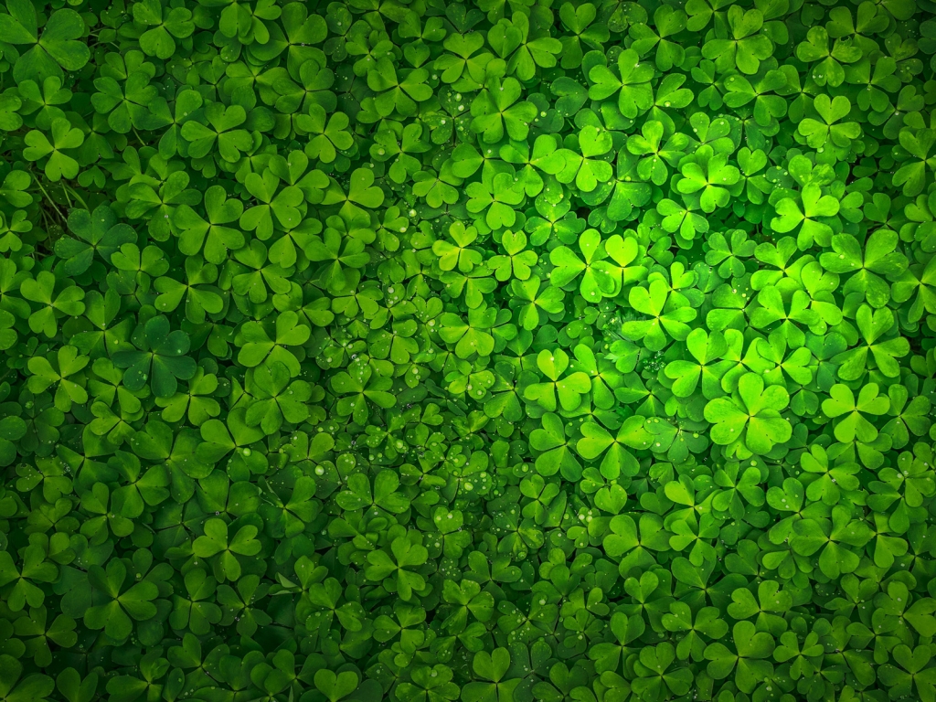 St Patrick's Day for 1024 x 768 resolution