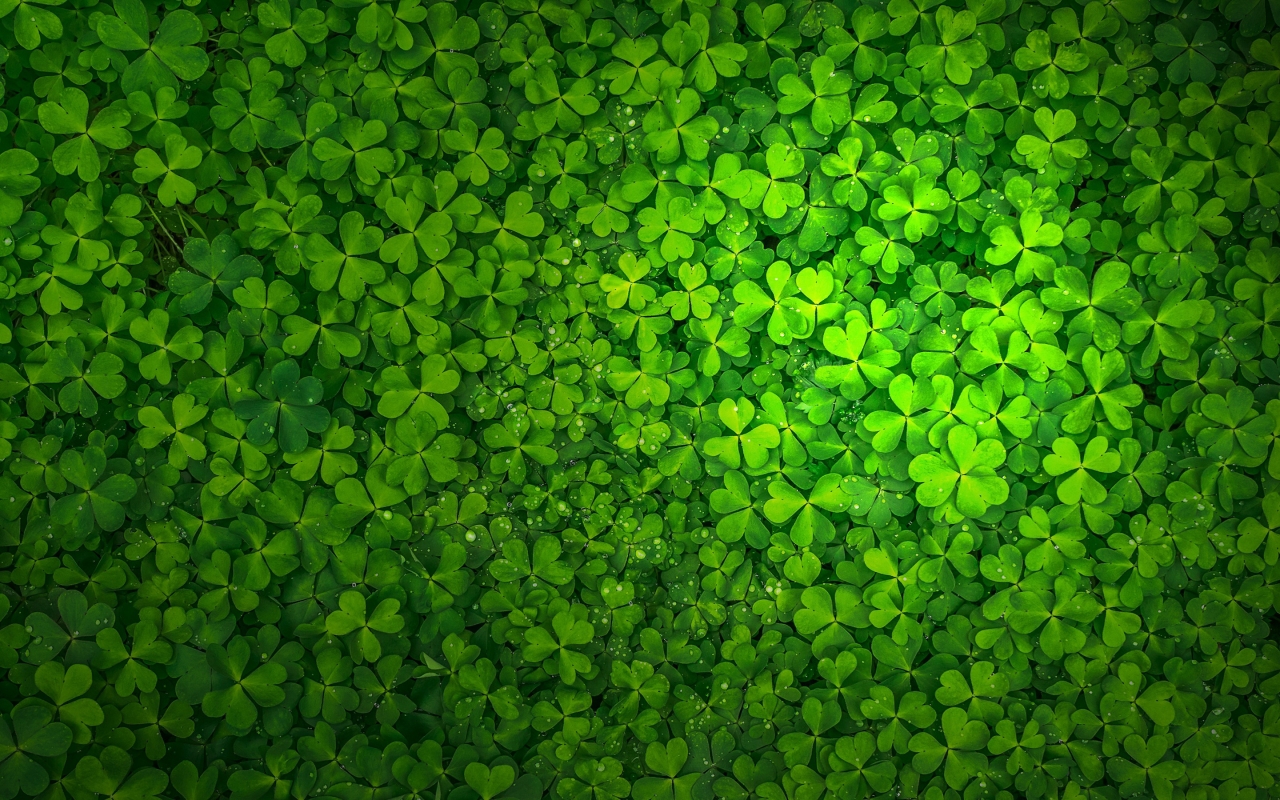 St Patrick's Day for 1280 x 800 widescreen resolution