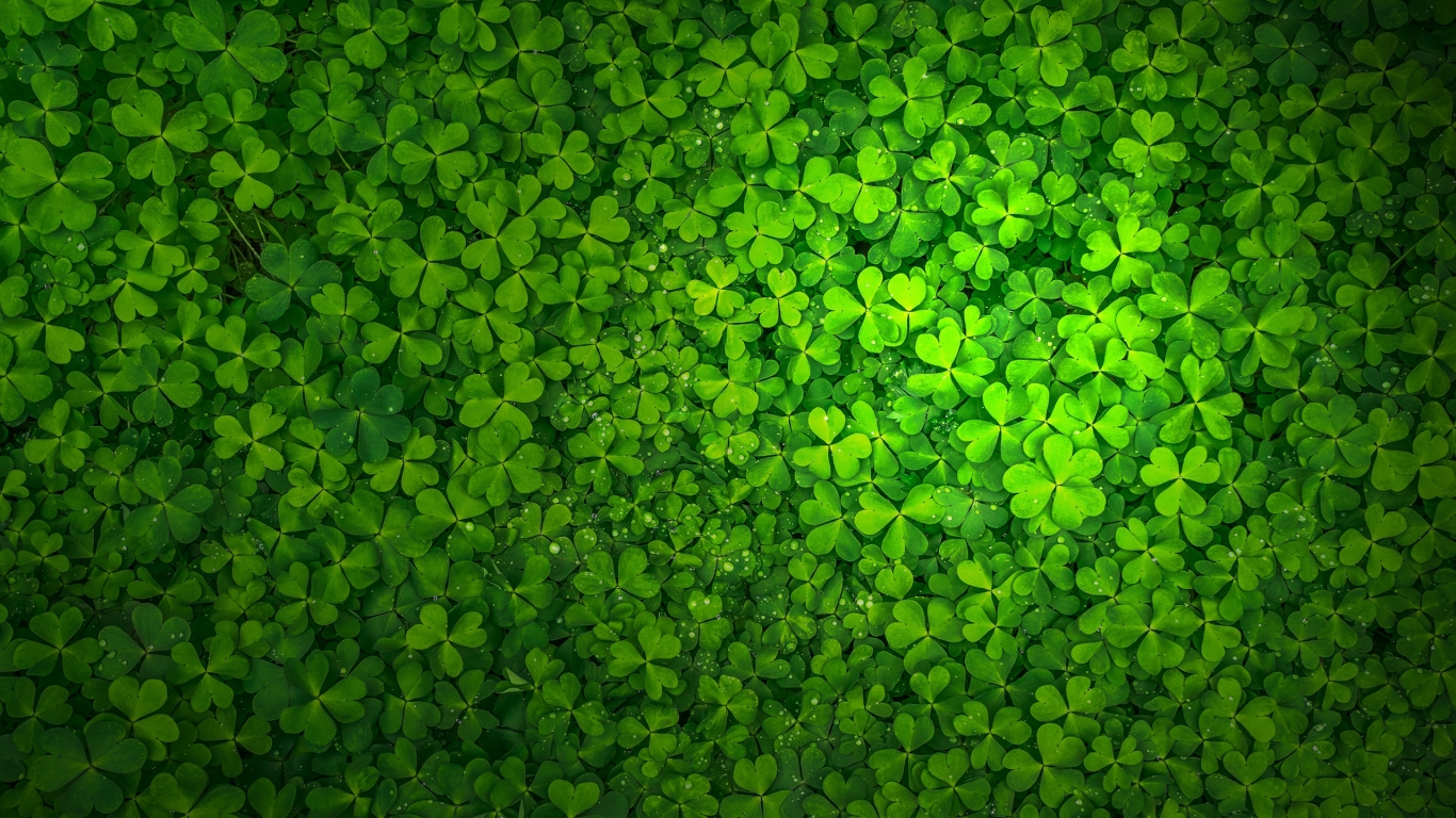 St Patrick's Day for 1366 x 768 HDTV resolution