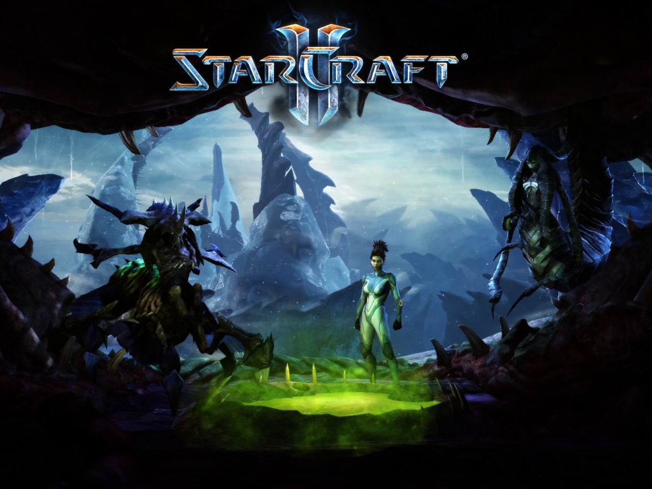 Starcraft II Heart of the Swarm for 1280 x 960 resolution