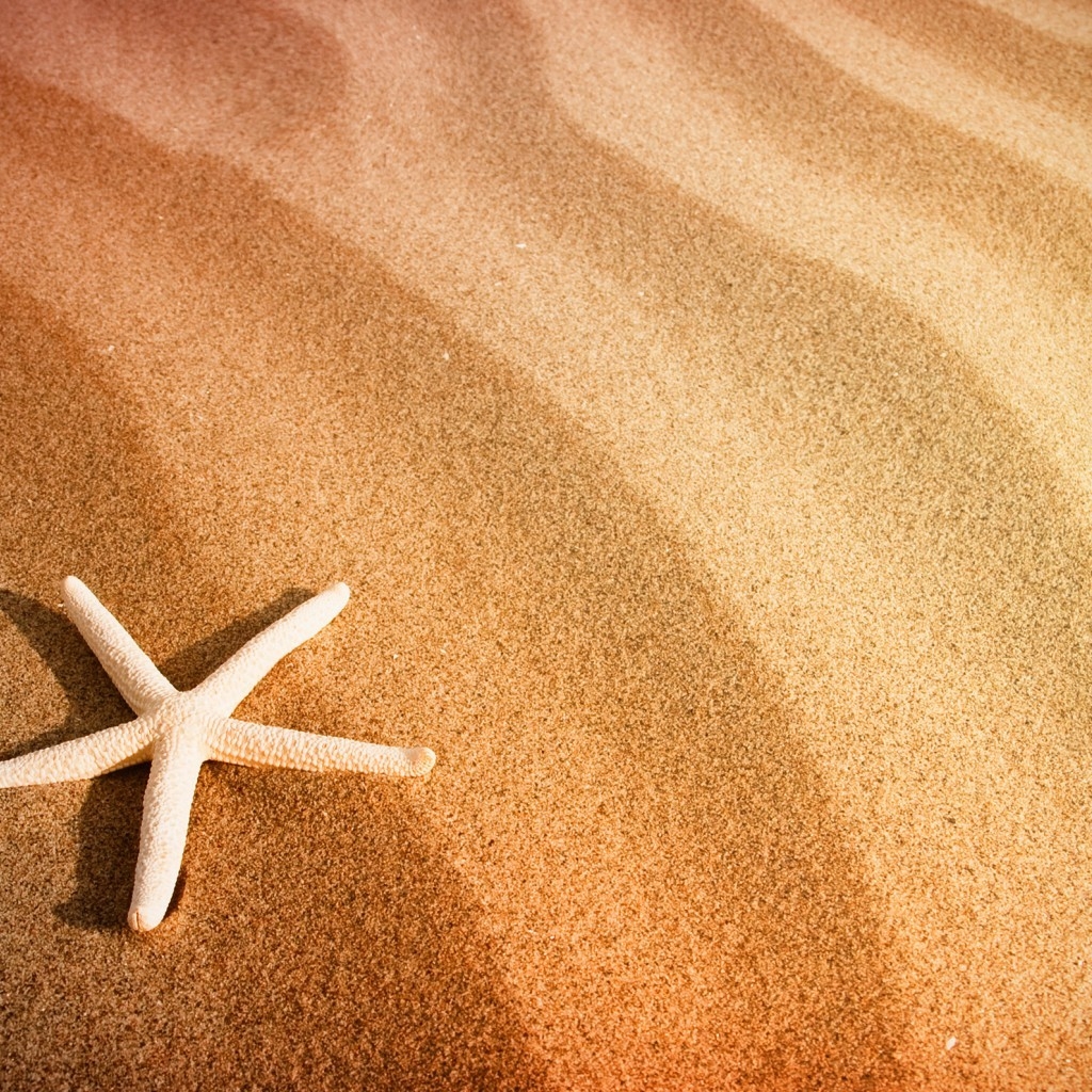 Starfish and Sand for 1024 x 1024 iPad resolution