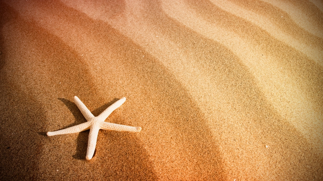 Starfish and Sand for 1366 x 768 HDTV resolution