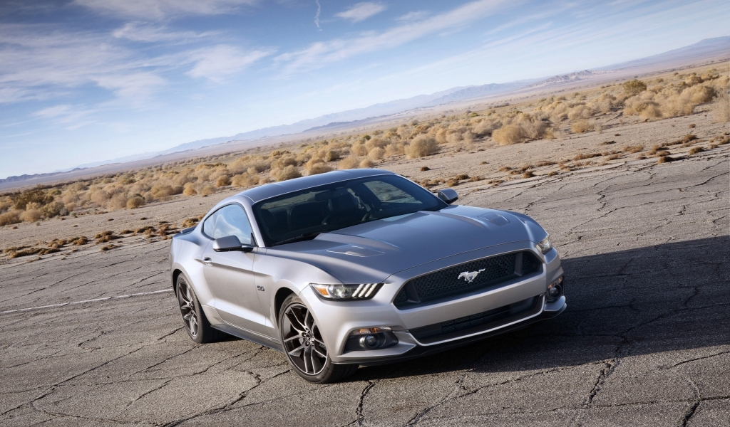 Stunning Grey Ford Mustang for 1024 x 600 widescreen resolution