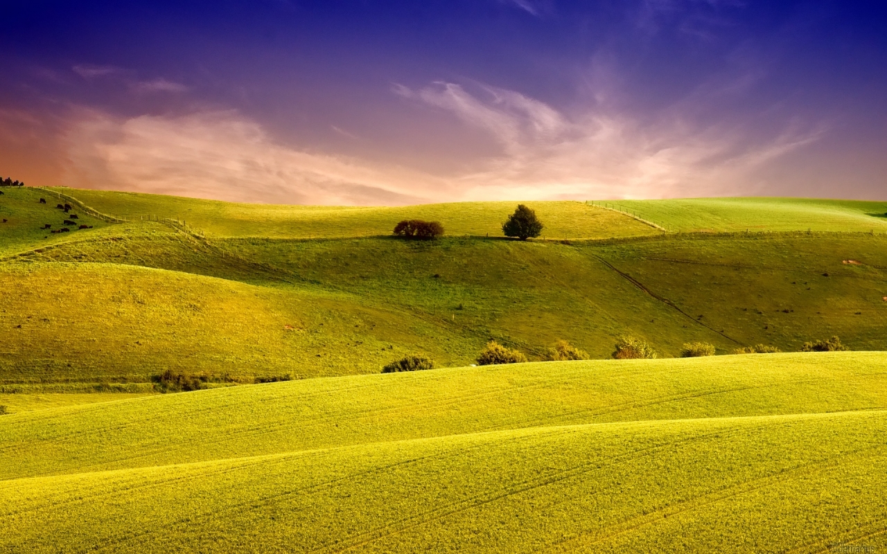 Summer Green Hill for 1280 x 800 widescreen resolution