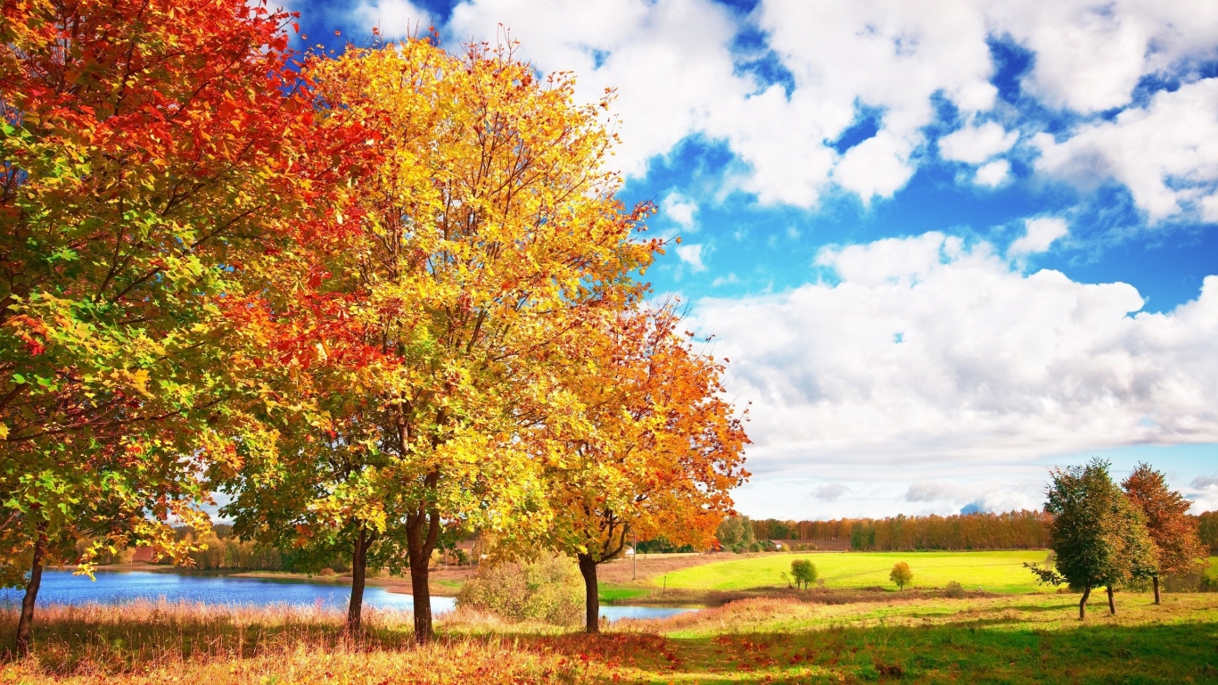 Sunny Autumn Day for 1366 x 768 HDTV resolution