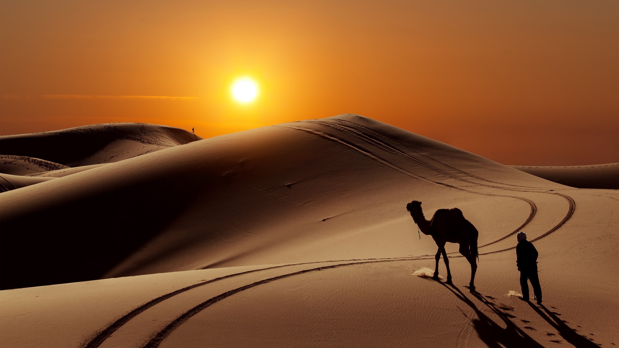 Sunset in Desert for 2560x1440 HDTV resolution