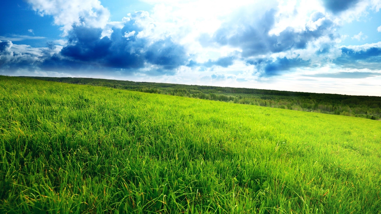 Superb Green Field for 1280 x 720 HDTV 720p resolution