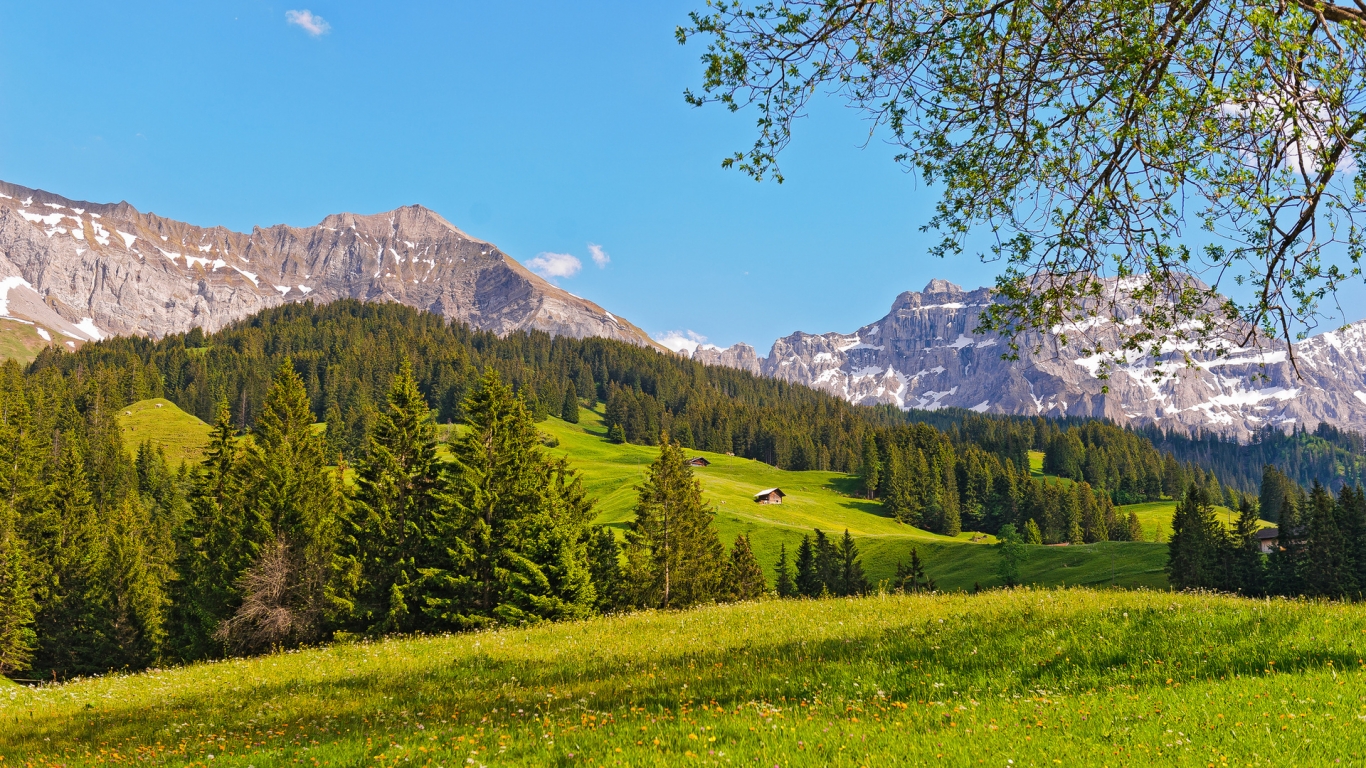 Switzerland Green Mountains for 1366 x 768 HDTV resolution