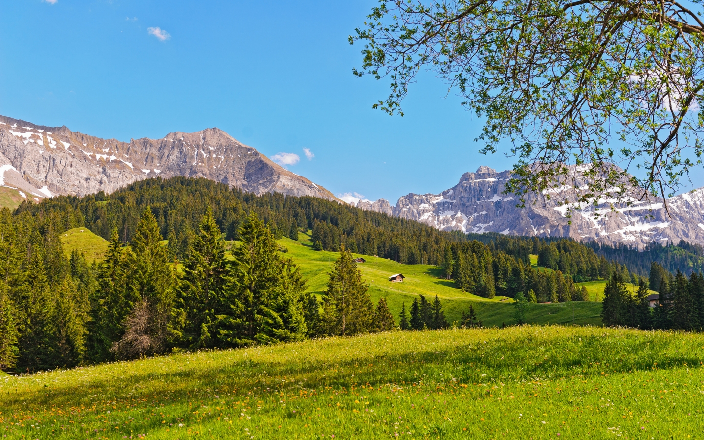 Switzerland Green Mountains for 1440 x 900 widescreen resolution