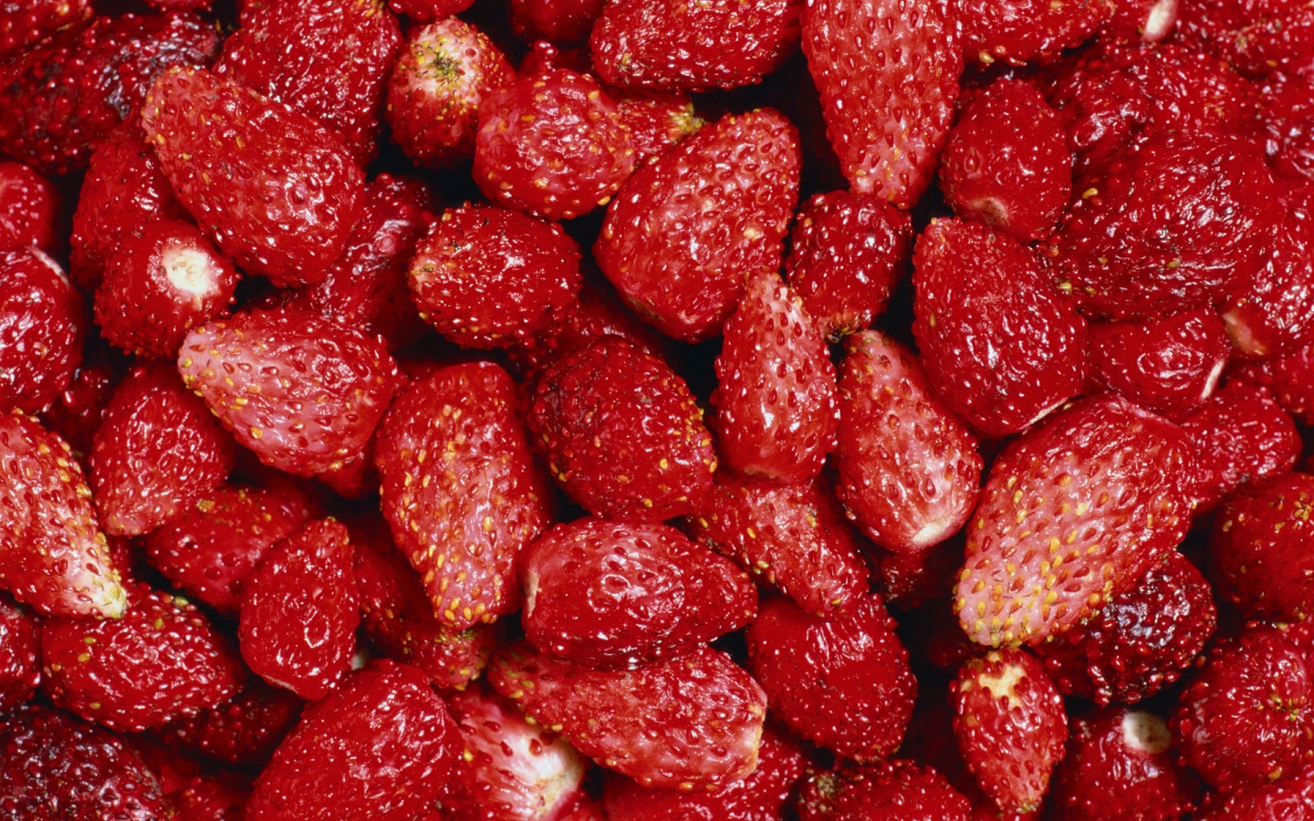 Tasty Strawberry for 1440 x 900 widescreen resolution