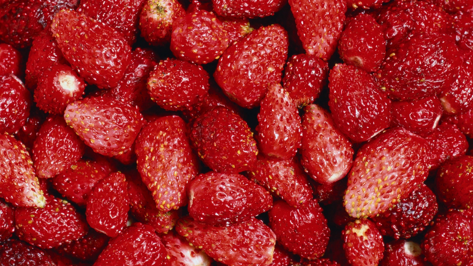 Tasty Strawberry for 1600 x 900 HDTV resolution