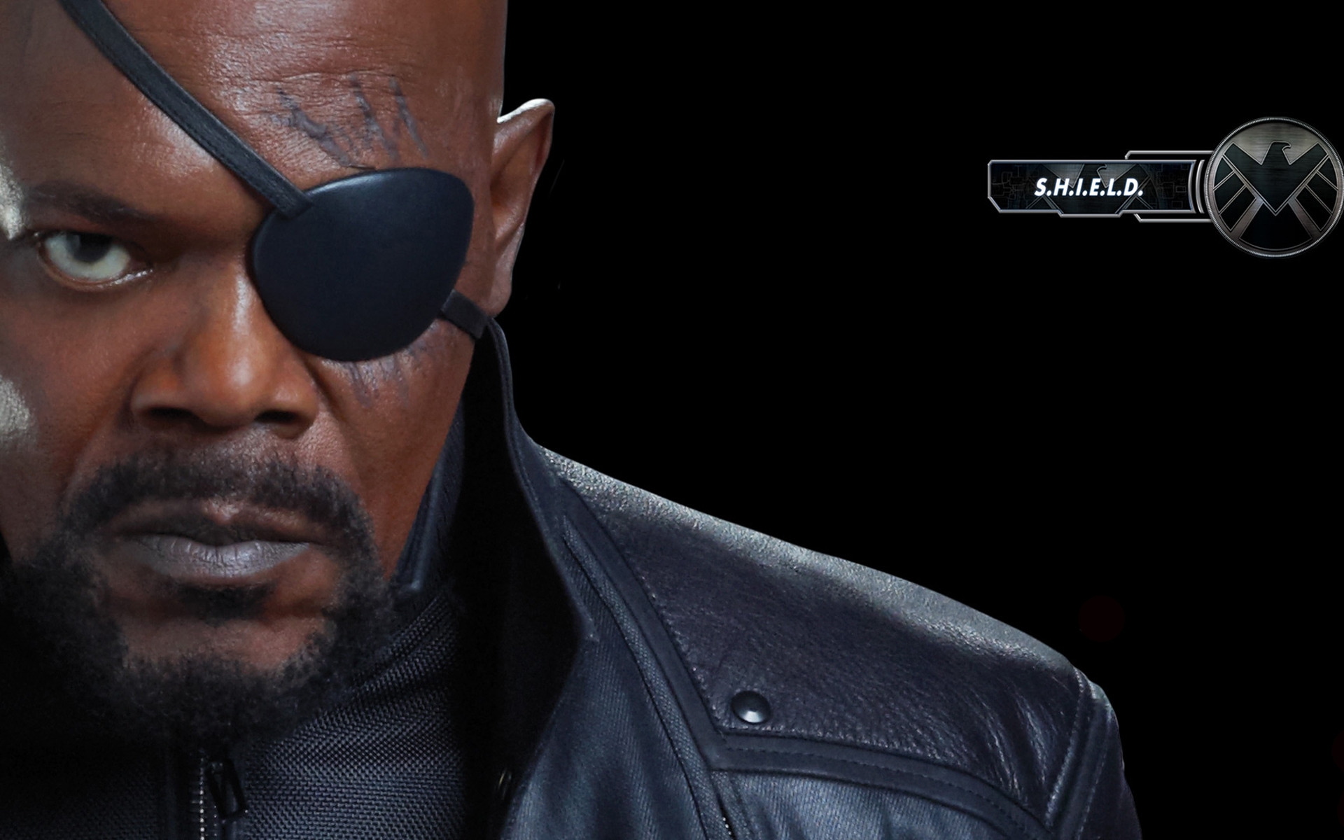 The Avengers Nick Fury for 1920 x 1200 widescreen resolution
