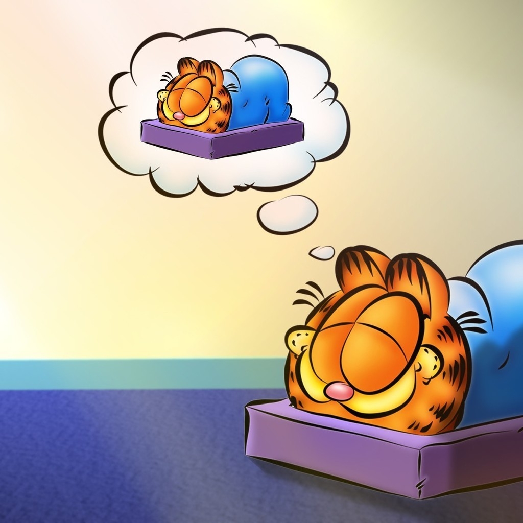 The Garfield Show for 1024 x 1024 iPad resolution