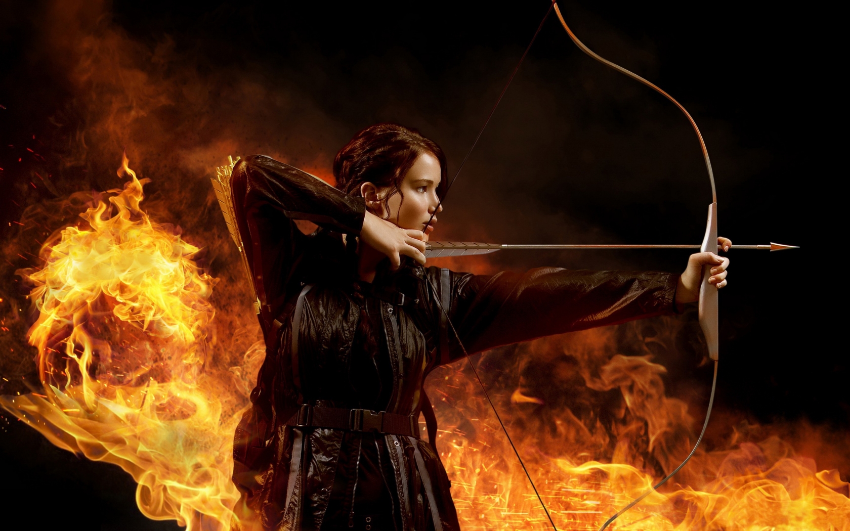 The Hunger Games 2013 for 1680 x 1050 widescreen resolution