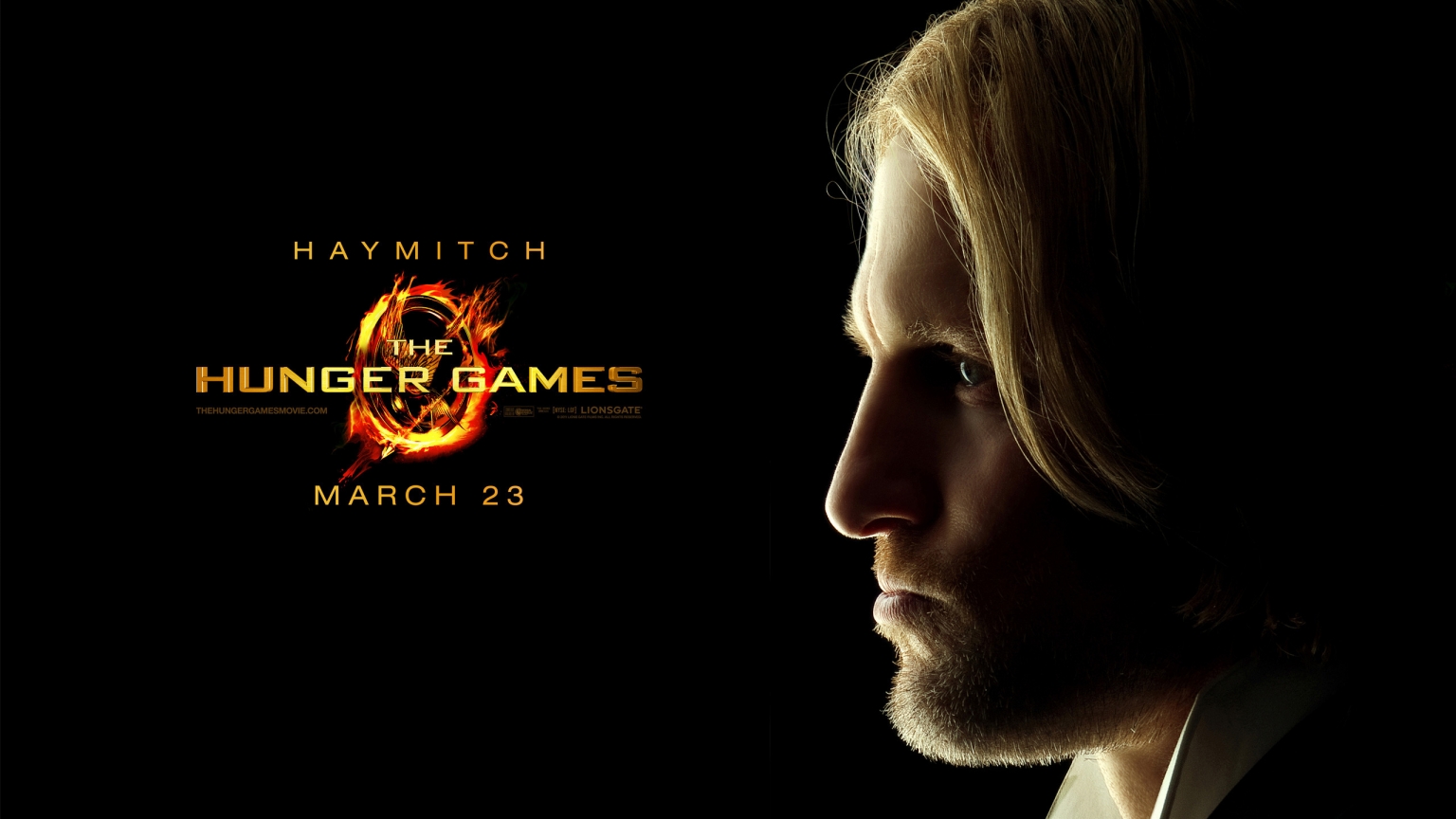 The Hunger Games Haymitch for 1536 x 864 HDTV resolution