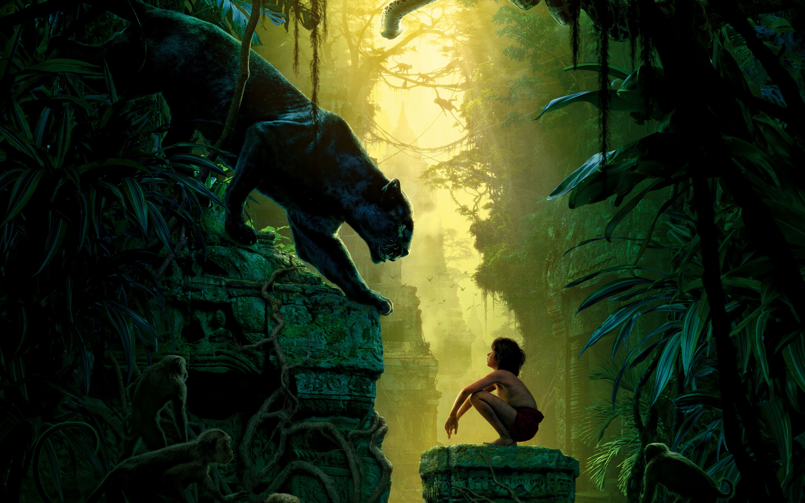 The Jungle Book Movie for 2560 x 1600 widescreen resolution