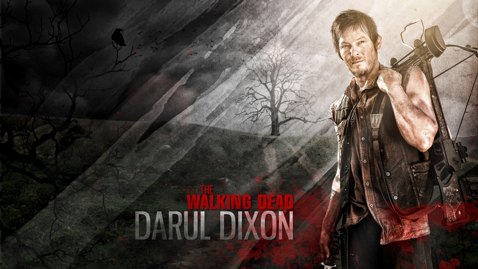 The Walking Dead Daryl Dixon for 1536 x 864 HDTV resolution
