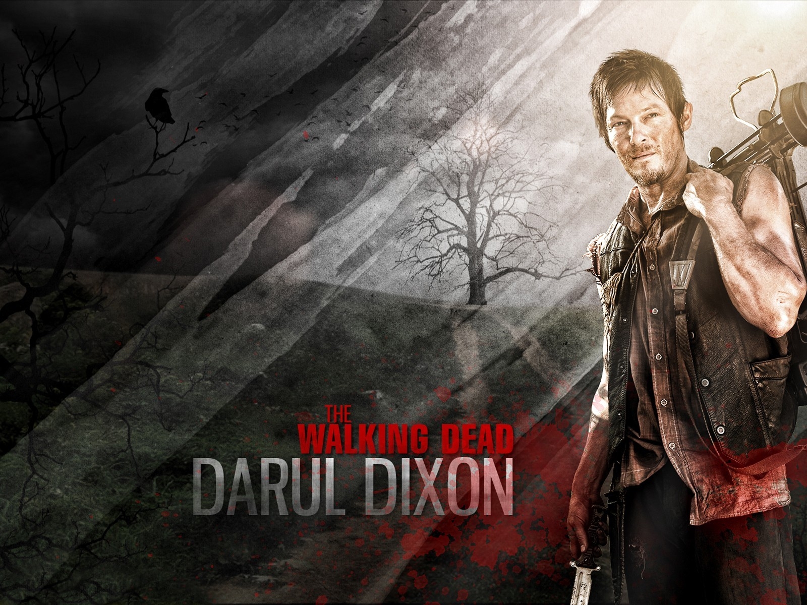 The Walking Dead Daryl Dixon for 1600 x 1200 resolution