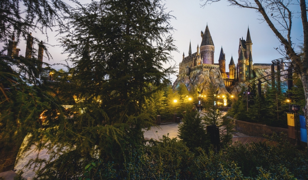 The Wizarding World of Harry Potter for 1024 x 600 widescreen resolution