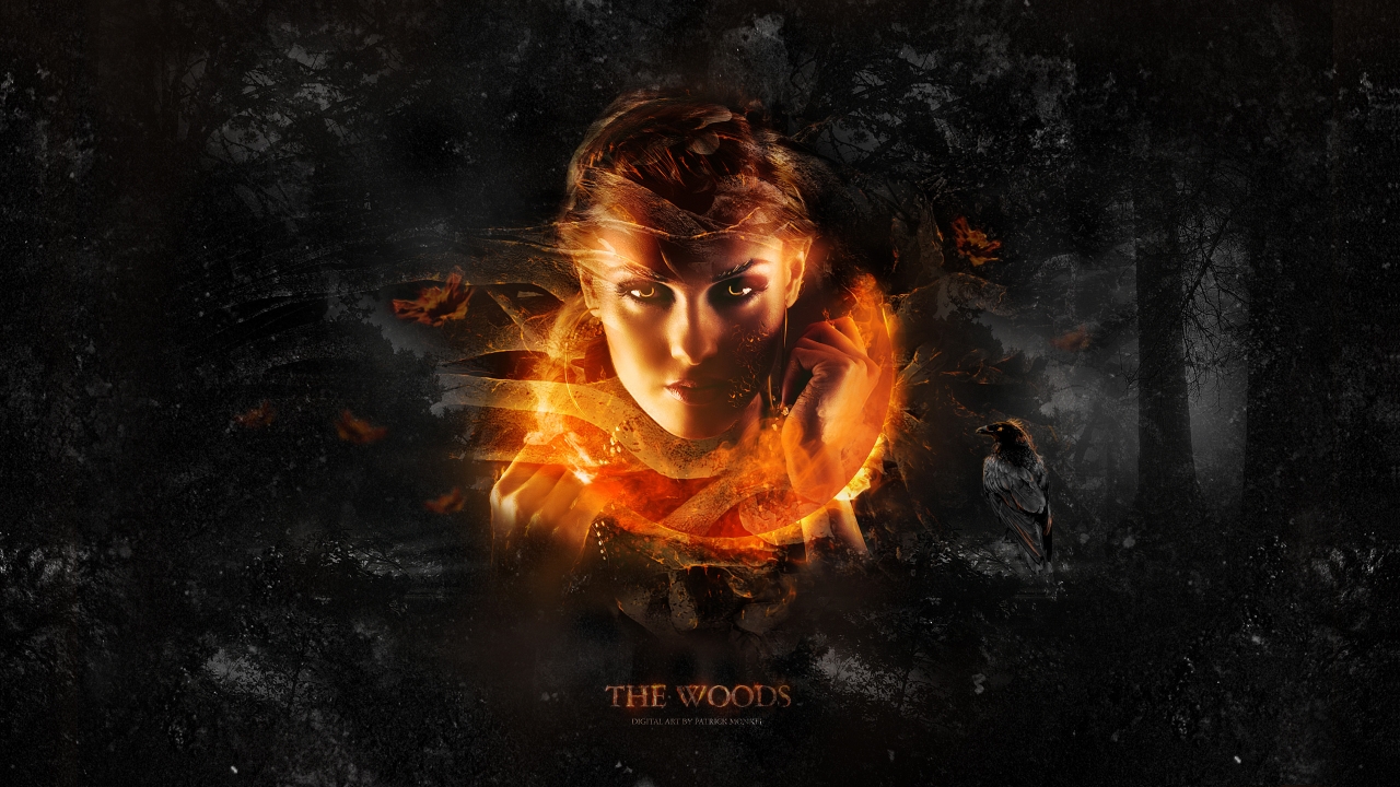 The woods for 1280 x 720 HDTV 720p resolution