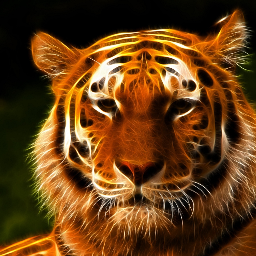 Tiger Face Art for 1024 x 1024 iPad resolution