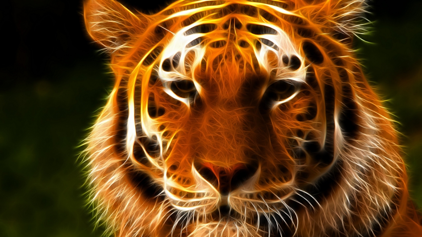 Tiger Face Art for 1366 x 768 HDTV resolution