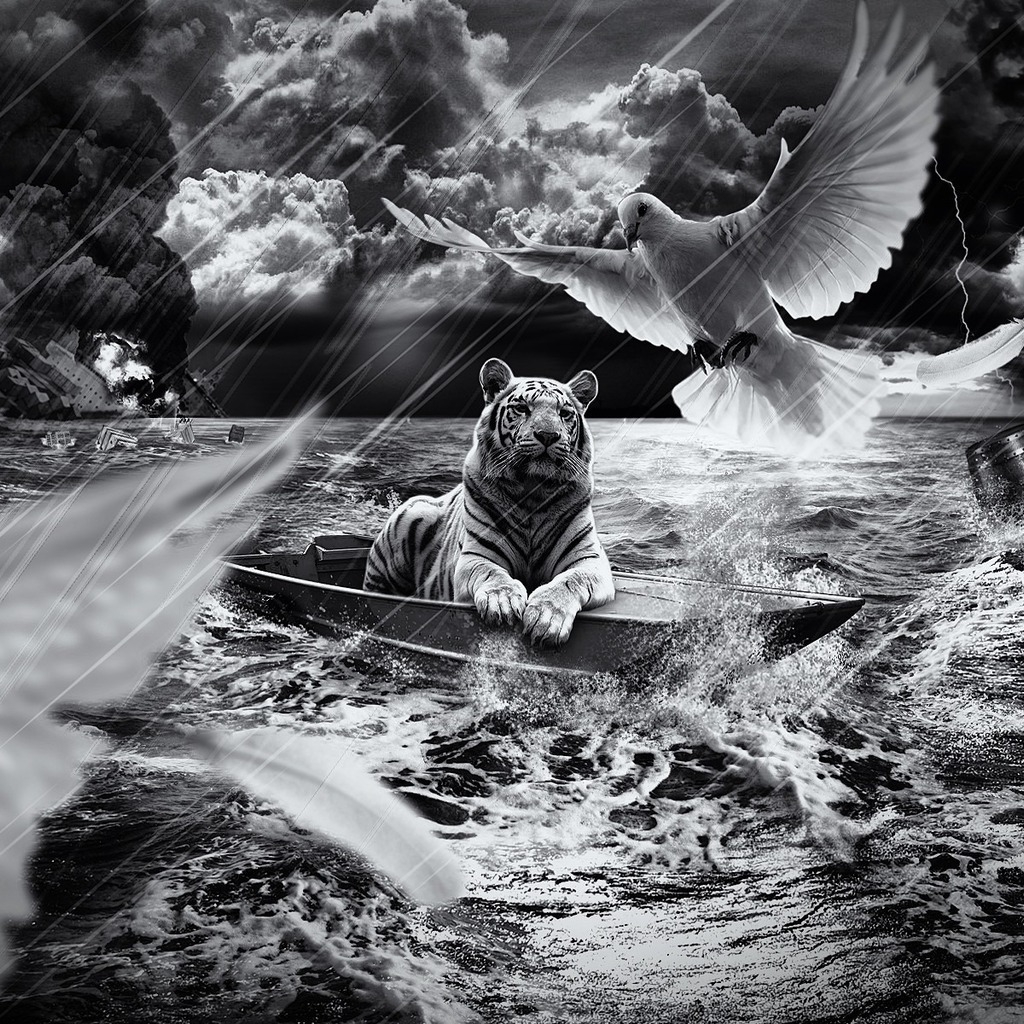 Tiger in a Boat for 1024 x 1024 iPad resolution