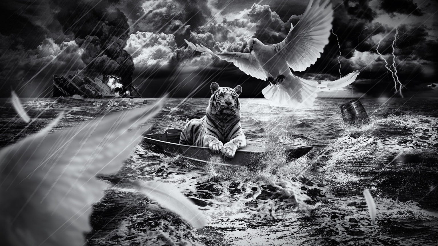 Tiger in a Boat for 1536 x 864 HDTV resolution