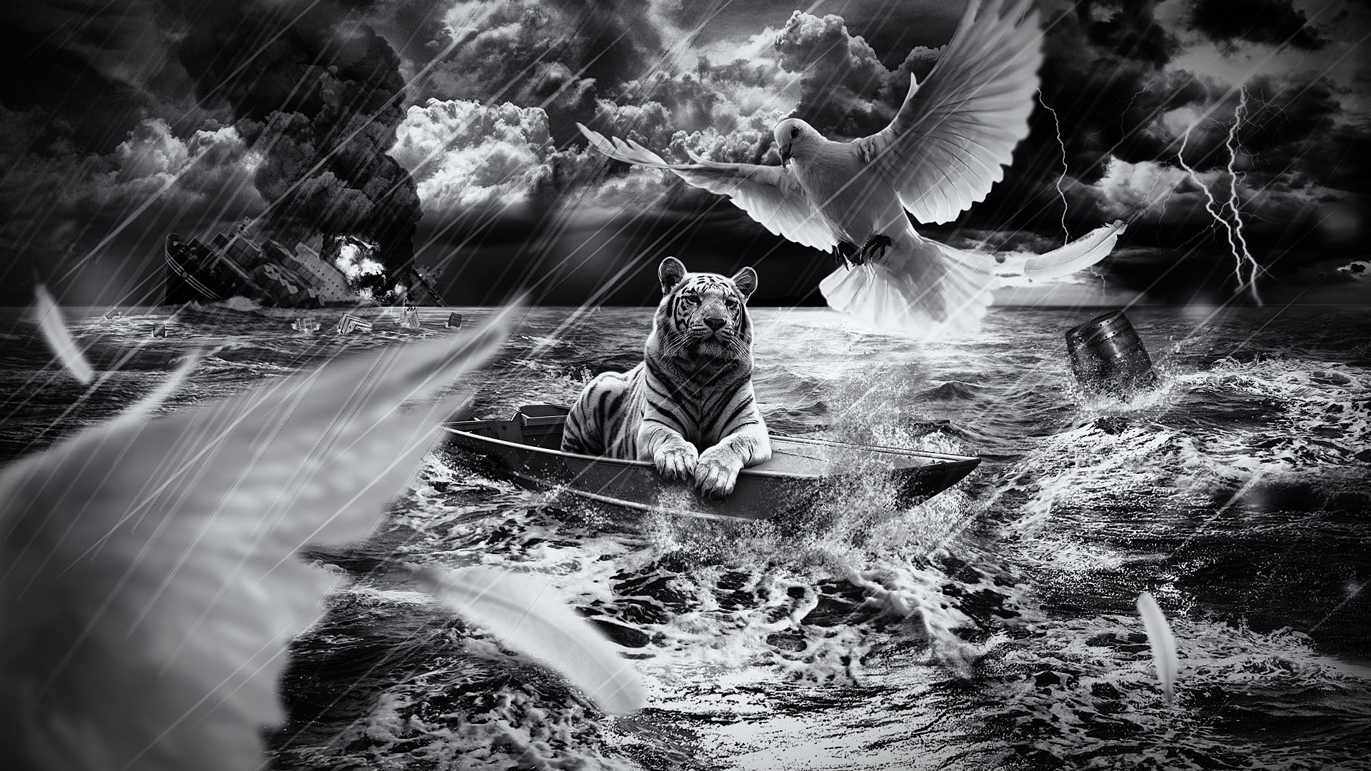 Tiger in a Boat for 1920 x 1080 HDTV 1080p resolution