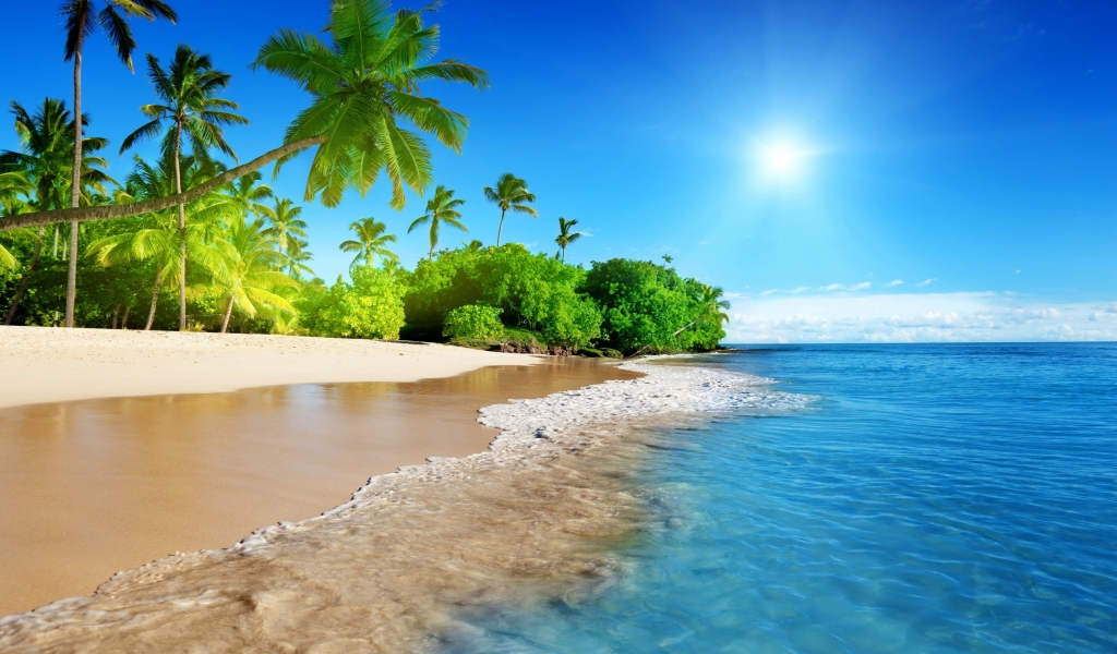 Tropical Beach Corner for 1024 x 600 widescreen resolution