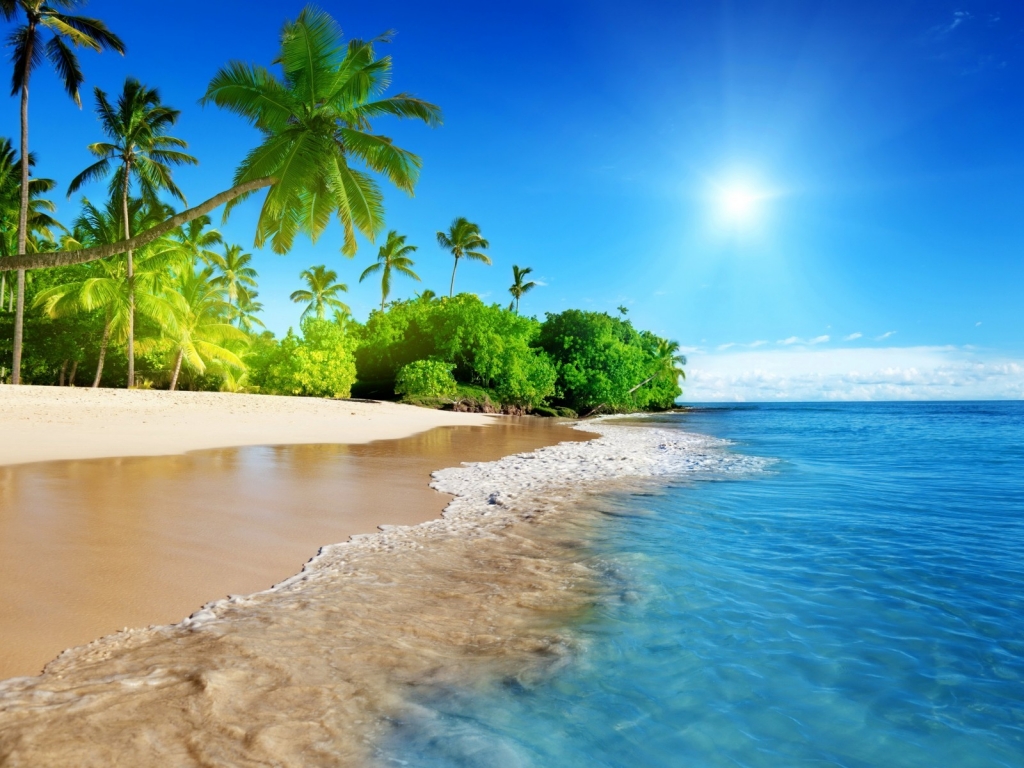Tropical Beach Corner for 1024 x 768 resolution