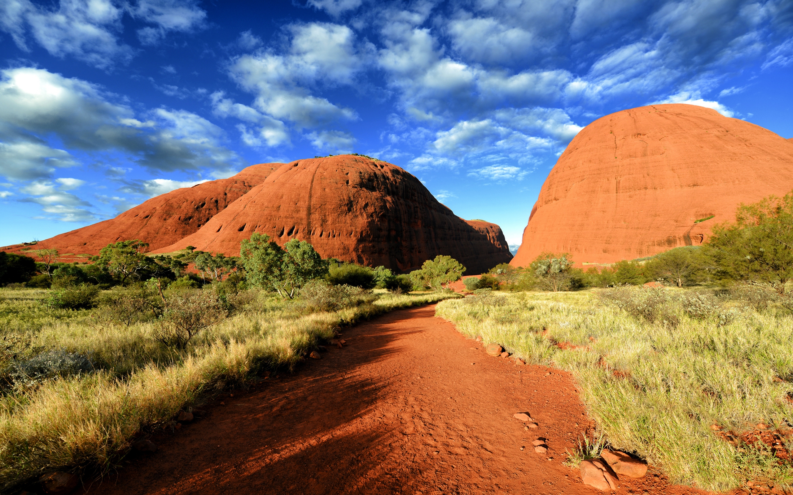 Walpa Gorge Australia for 2560 x 1600 widescreen resolution