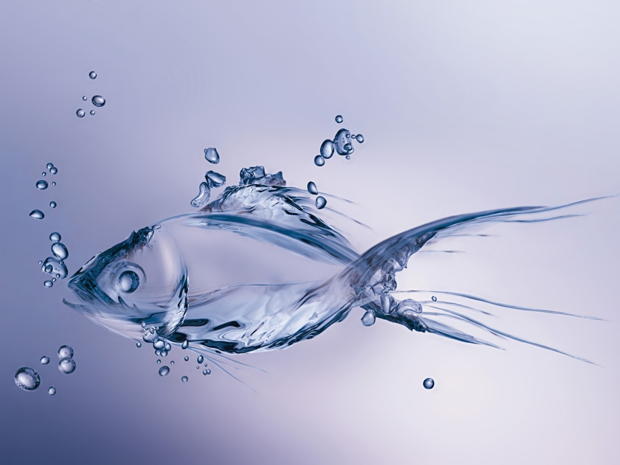 Water Fish for 1280 x 960 resolution