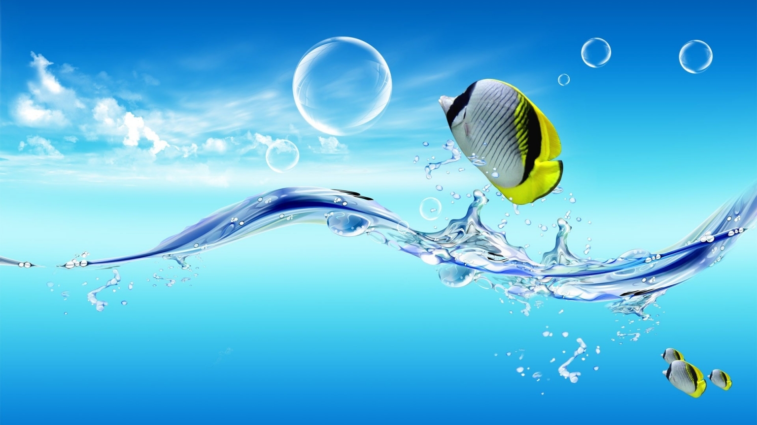 Waterlife for 1536 x 864 HDTV resolution