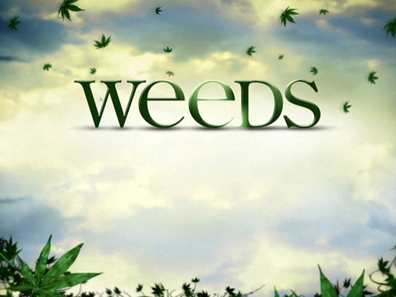 Weeds Logo for 1280 x 960 resolution