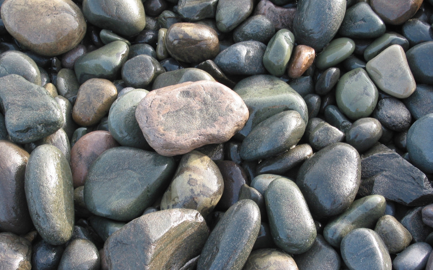 Wet Stones for 1440 x 900 widescreen resolution